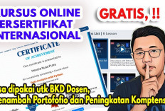 TOP 5 Website Sertifikasi Gratis, Cocok Banget Buat Upgrade Skill dan Menunjang Karirmu!