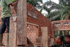 Tok tok tok, Tukang Rehab RTLH TMMD 128 Mengetok Papan Mal Padatkan Adonan Semen