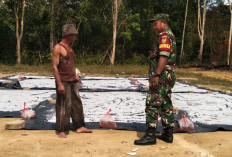 Babinsa Ini Bantu Warga Olah Pohon Rumbiak Jadi Sagu, Gimana Caranya?