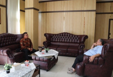Kajari Ogan Ilir Beraudiensi Dengan Kepala Pengadilan Negeri Kayu Agung, Apa Pembahasannya
