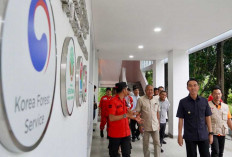 Indonesia-Korea Perkuat Sistem Pengendalian Karhutla di OKI, Hadapi Ancaman El Nino