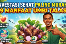 Investasi Sehat Paling Murah! 9 Manfaat Umbi Talas yang Ampuh Menjaga Jantung, hingga Imunitas Tubuh