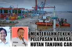 Pembangunan Pelabuhan Tanjung Carat Segera Dimulai, Menteri LHK Sudah ACC Pelepasan Kawasan Hutannya