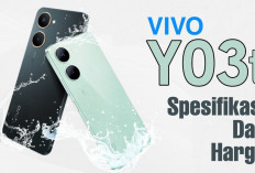 Cuma Rp1 Jutaan! Vivo Y03t Bawa Desain Melengkung Mewah, Layar 90Hz dan Tahan Air