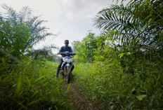 Berpacu Waktu, Alat Berat TMMD 128 Belah Hutan Belantara Desa Lubuk Tampang Lahat