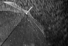 BUAT PENDEMO! Pantau Cuaca di Palembang dan Sekitarnya Senin 1 September 2025, Siang Bakal Hujan