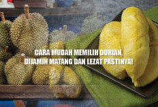 Cara Mudah Memilih Durian, Dijamin Matang dan Lezat Pastinya!