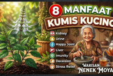 8 Manfaat Kumis Kucing untuk Kesehatan Tubuh Sebagai Ramuan Herbal Warisan Nenek Moyang