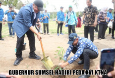 Kunci Rahasia Sumsel Pertahankan Status Lumbung Pangan Nasional, Herman Deru Blak-Blakan di PEDA KTNA