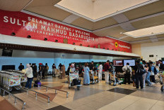 Makin Ramai! Bandara SMB II Bukukan Pertumbuhan Positif, Rute Domestik dan Internasional Tetap Favorit