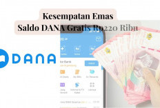 Kesempatan Emas Dapatkan Cuan dari Klaim Link Saldo DANA Gratis Rp220 Ribu, Ini Syaratnya