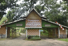 Siap-Siap! Punti Kayu Akan Hadirkan Wahana Baru dan Permainan Tradisional yang Bikin Anak Lupa Gadget