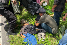 Tragedi Jalan Rusak! 2 Pengendara Tewas Usai Motor Masuk Lubang di OKU Timur