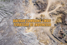 6 Daerah Tambang Emas Terbesar di Indonesia, Papua Termasuk, Apa Lagi? 