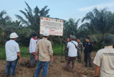 Pemasangan Plang Proses Verifikasi Satgas Penertiban Kawasan Hutan, Berikut Lokasinya