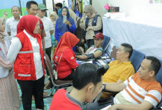 PMI Kota Palembang Kumpulkan 400 Kantong Darah, Stok Dipastikan Aman
