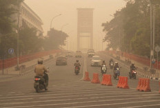 Kabut Asap Makin Pekat, Kesehatan Terancam? Ini Tips Penting Agar Tetap Sehat dan Aman di Tengah Polusi