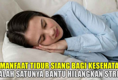 Sering Disepelekan! Inilah 5 Manfaat Tidur Siang Bagi Kesehatan, Salah Satunya Bantu Hilangkan Stres