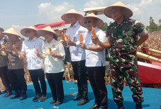 Kasdam II Sriwijaya Hadiri Panen Raya Jagung Serentak Nasional, Ini Lokasinya