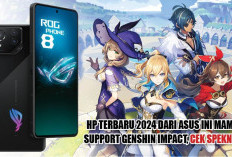 HP Terbaru 2024 dari ASUS Ini Mampu Support Genshin Impact, Cek Speknya!
