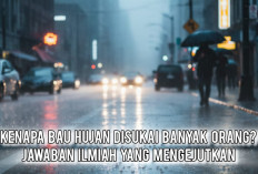 Kenapa Bau Hujan Disukai Banyak Orang? Ini Jawaban Ilmiah yang Mengejutkan