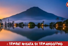 Jelajahi Pesona Temanggung! 8 Wisata Kekinian yang Wajib Dikunjungi
