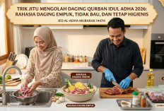 Trik Jitu Mengolah Daging Qurban Idul Adha 2026: Rahasia Daging Empuk, Tidak Bau, dan Tetap Higienis