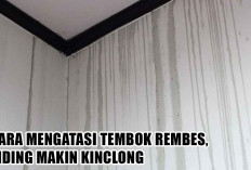 Lembab dan Berjamur! 7 Cara Mengatasi Tembok Rembes, Dinding Makin Kinclong