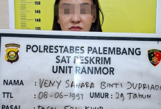 Sempat Buron, Pelaku Pengerusakan Mobil Fortuner di Albar Ditangkap 