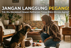 Jangan Langsung Pegang! 5 Trik Jitu Mendekati Hewan Peliharaan Tanpa Bikin Mereka Agresif