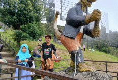 Gunung Dempo Mulai Padat, Wisatawan Mulai Berdatangan Menjelang Pergantian Tahun