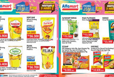 Tambah Senang! Ada Promo JSM Alfamart 17 November 2024, Dapatkan Fortune Minyak Goreng Pouch 2L Rp36.300