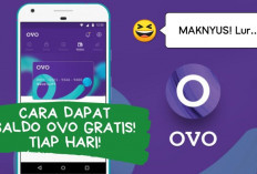 Mau Saldo Ovo Gratis Rp100.000? Caranya Gampang Banget, Kuy Ikuti Langkah-langkah Berikut Ini!