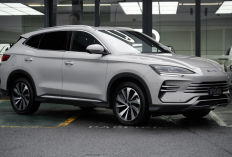 Inilah Tampang BYD Sealion 06 Adik BYD Sealion 07, Mengaspal Akhir Juli 