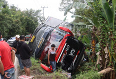 Bus AKAP Terjun ke Jurang di Lahat, Satu Penumpang Meninggal Dunia langsung Evakuasi Dini Hari