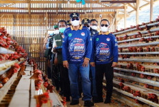 Tinjau Peternakan Ayam Hingga Ikan Patin, Bupati Muba Genjot Ketahanan Pangan di Bayung Lencir