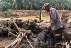 Tim K9 Ditpolsatwa Baharkam Polri Dikerahkan, Begini Proses Pencariannya