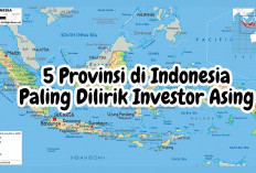 WOW! 5 Provinsi di Indonesia Ini Paling Dilirik Investor Asing, Sumatera Selatan Termasuk Gak Ya?