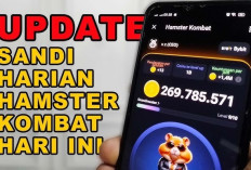 BURUAN! Klaim Segera 3 Kartu Combo dan Jutaan Koin Gratis Hamster Kombat 12 Agustus 2024, Pasti Auto Cuan