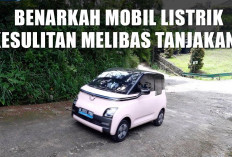 Benarkah Mobil Listrik Kesulitan Melibas Tanjakan Curam? Ini Faktanya