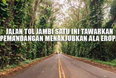 WOW! Jalan Tol Jambi Satu Ini Tawarkan Pemandangan Menakjubkan ala Eropa, Ternyata Jalurnya…