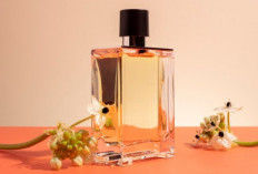 Jenis Aroma Parfum yang Bikin Kerja Makin Rileks, SPL Dar Der Dor, Sekali Spray Wanginya Membahana