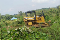 Warga Manggul Lahat Laporkan Penggusuran Lahan Tanpa Izin Diduga Gunakan Buldoser, Kerugian Capai Rp5 Milyar, 