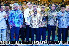 Hadiri Rakornas Binwas Pemda, Wagub Sumsel Cik Ujang Beri Pernyataan yang Undang Senyum Mendagri
