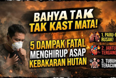 Bahaya Tak Kasat Mata! Ini 5 Dampak Fatal Menghirup Asap Kebakaran Hutan bagi Jantung, Paru, dan Tubuh Manusia