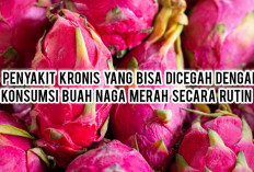 5 Penyakit Kronis yang Bisa Dicegah dengan Konsumsi Buah Naga Merah Secara Rutin
