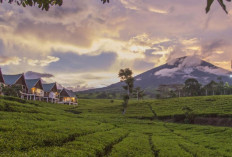 Suhu Terendah di Pagar Alam 15 Derajat Celsius, Prakiraan Cuaca di Sumsel Kamis 9 Oktober 2025