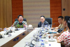 Pemkot Palembang Butuh Dukungan Pemprov, Ratu Dewa Sampaikan Sejumlah Program Strategis