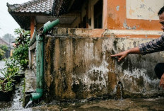 Dinding Rumahmu Diam-Diam 'Minum Air Hujan' Ini Cara Menghentikannya Sebelum Biaya Membengkak!