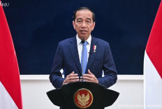 Bertemu Presiden Amerika Serikat, Presiden Jokowi Sampaikan Hasil KTT OKI tentang Palestina
